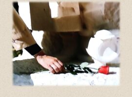 Н. Н. Кравцов