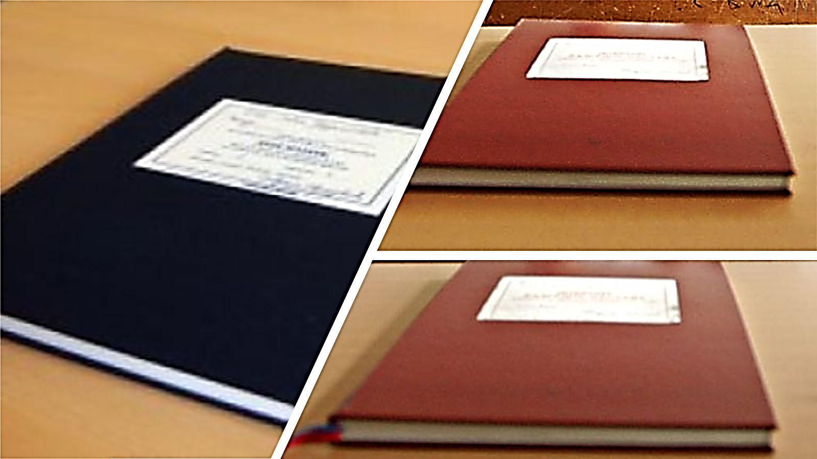 Формативно оцењивање (2024)